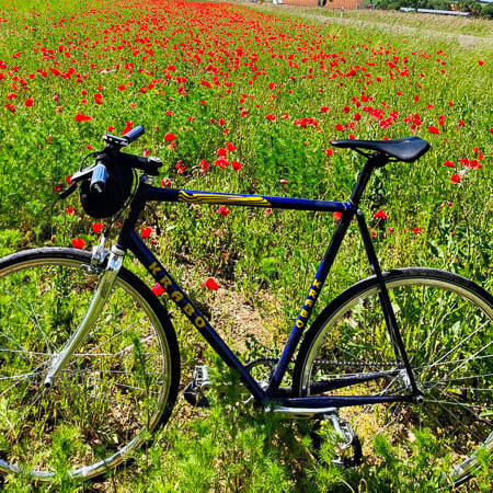 Ein Traum von Freiheit – unterwegs mit dem Rennrad durch blühende Mohnfelder. Ein schwarzes Rennrad steht vor einem Feld mit blühendem roten Mohn unter einem klaren, blauen Himmel. Im Hintergrund sind einige Häuser und ein paar Bäume zu sehen.