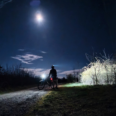 Mondscheinabenteuer – wenn die Challenge ruft, hält dich die Nacht nicht auf! Ein Radfahrer steht in der Nacht auf einem Waldweg, beleuchtet von Vollmondlicht und einer Fahrradlampe. Die Szene zeigt den Schatten des Radfahrers, umgeben von dunklen Silhouetten der Bäume.