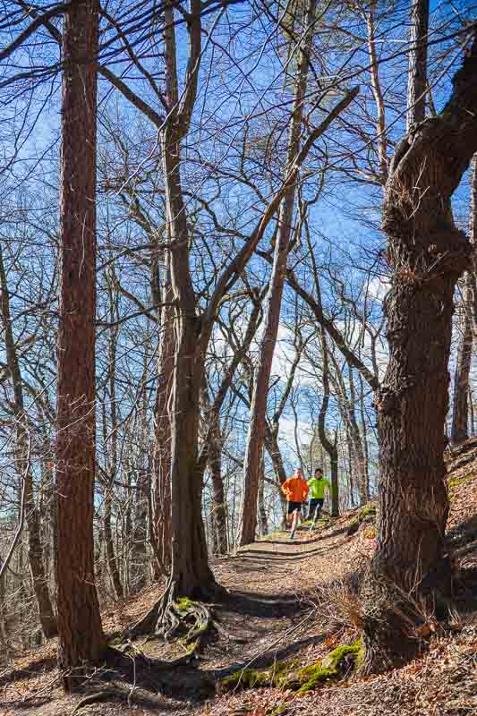 Two men running up a steep forest trail, surrounded by tall, leafless trees and blue sky. Both are wearing bright running jackets and support sleeves for added stability.