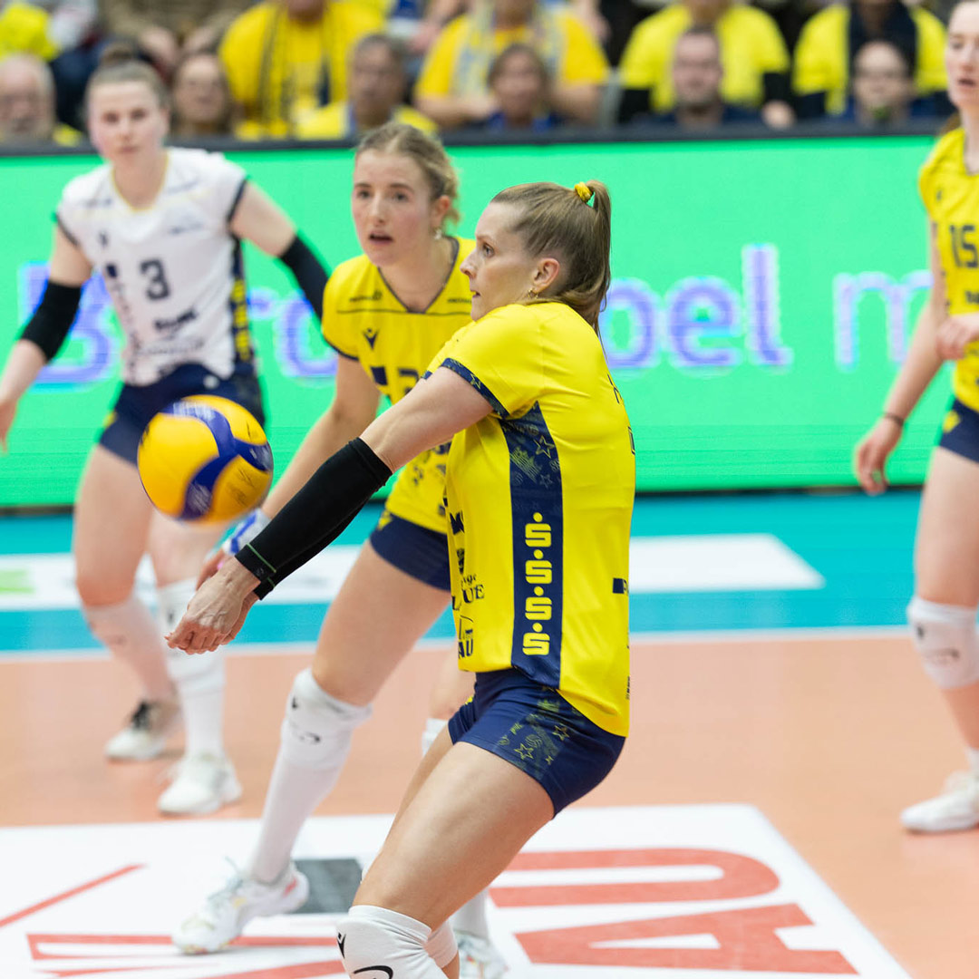 SSC Palmberg Volleyball