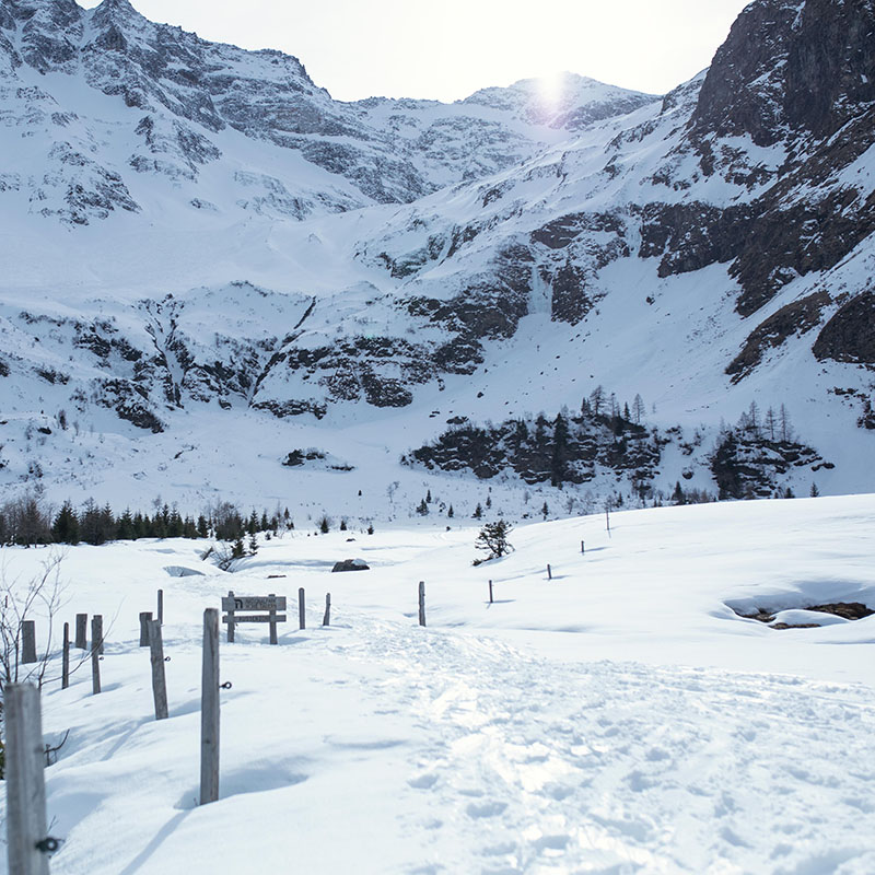 Portrait of the winter landscape in the Alps