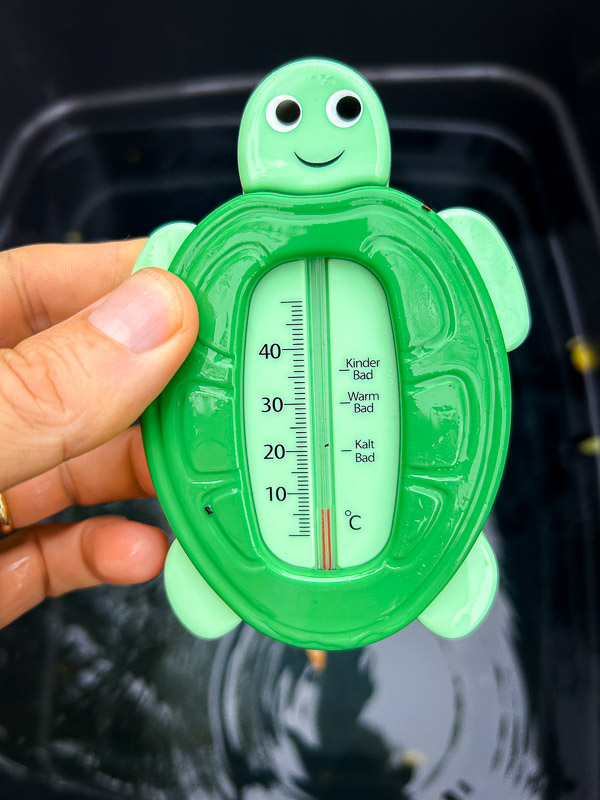 A green turtle bath thermometer is held in a hand. The thermometer shows just above 0 degrees Celsius, with categories “Kinder Bad,” “Warm Bad,” and “Kalt Bad” on the scale. The background shows a water container.