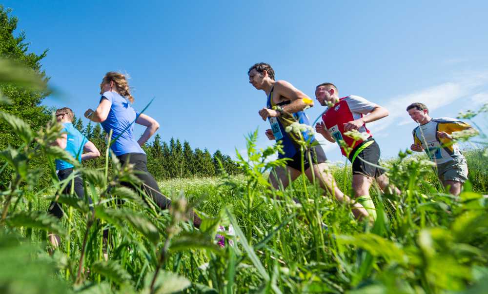 Snapshot of the racing ride through the grass