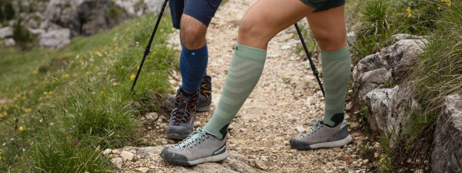 Extract of four legs with merciful Merino hiking socks on a hiking trail